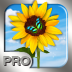 PhotoMgrPro