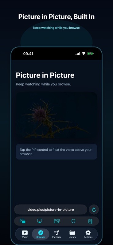 Video + 截图
