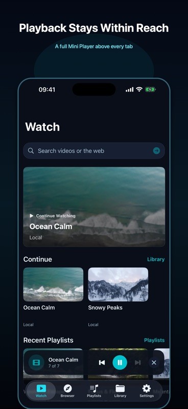 Video + 截图