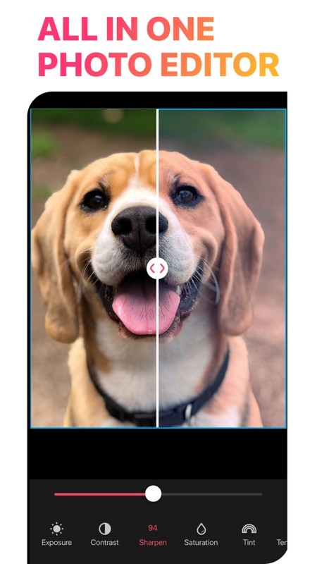LiveCollage 截图