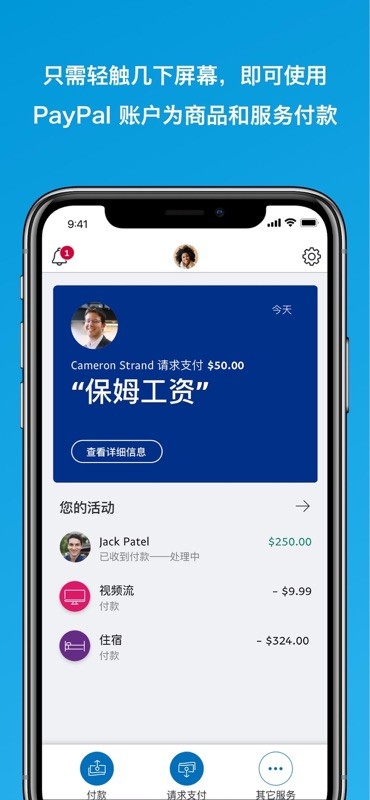 PayPal 截图
