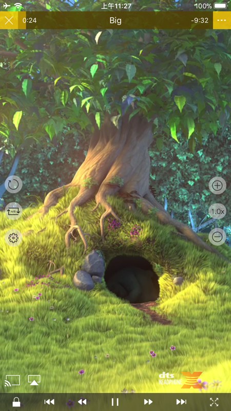 nPlayer 截图