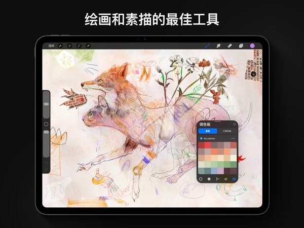 Procreate 截图