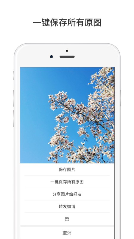微博轻享版 截图