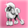 Pudelek