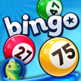 Bingo