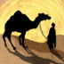 Thr the Desert