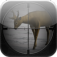 iHunt 3D