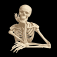 Anatomy