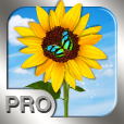 PhotoMgrPro